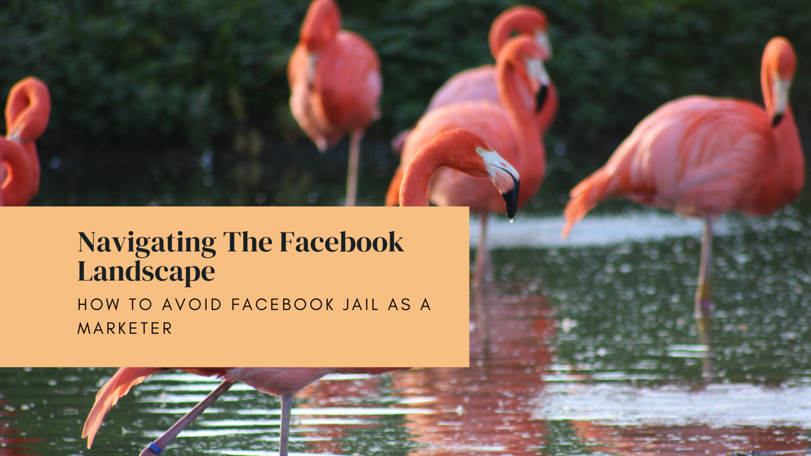 Navigating the Facebook Landscape: How to Avoid Facebook Jail As A Marketer